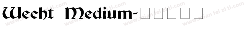 Wecht Medium字体转换
